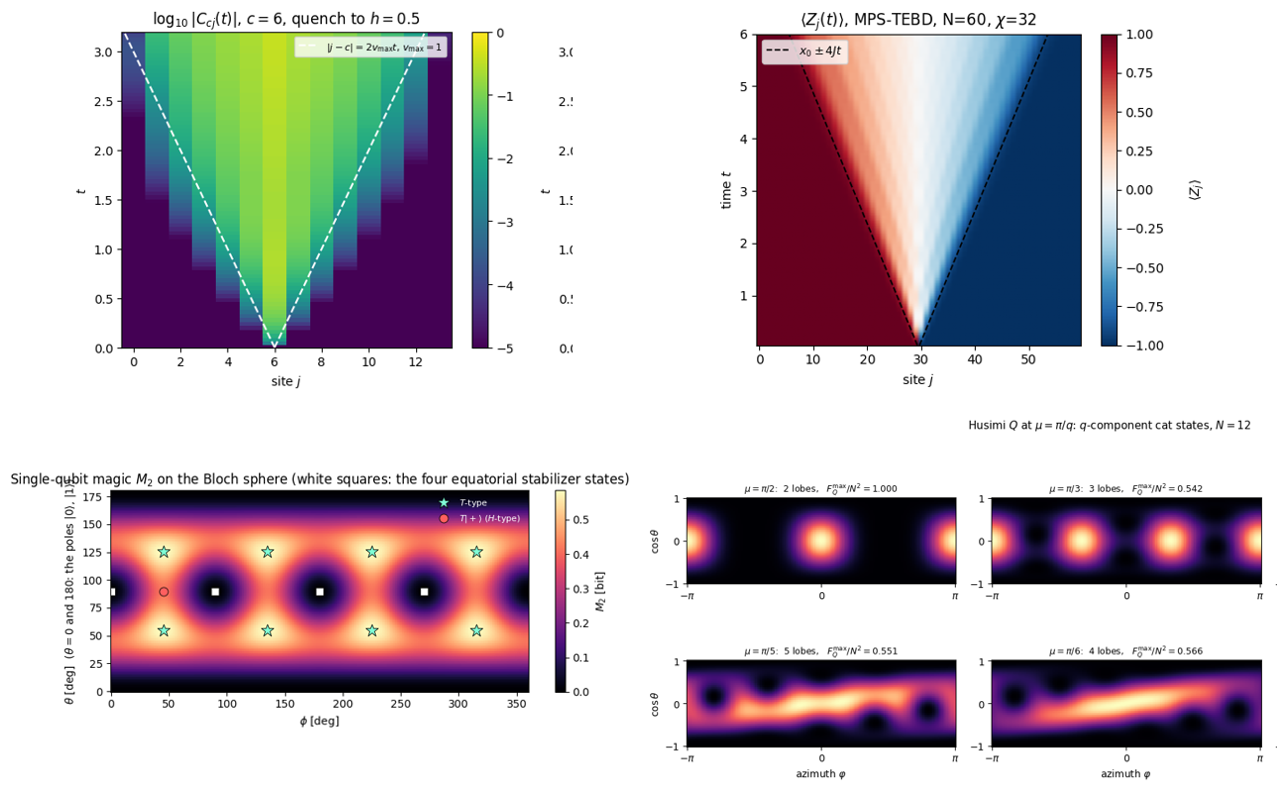 Light cone after a local quench, domain-wall melting computed with MPS-TEBD, the magic of single-qubit states, and Husimi functions of one-axis-twisted cat states